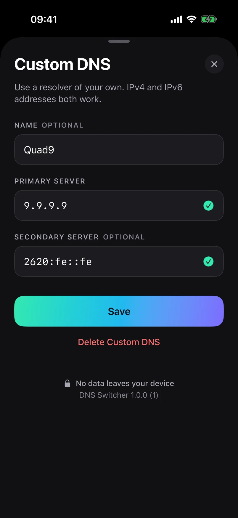 The Custom DNS form: an optional name, a primary server and an optional secondary server, both checked as valid addresses.